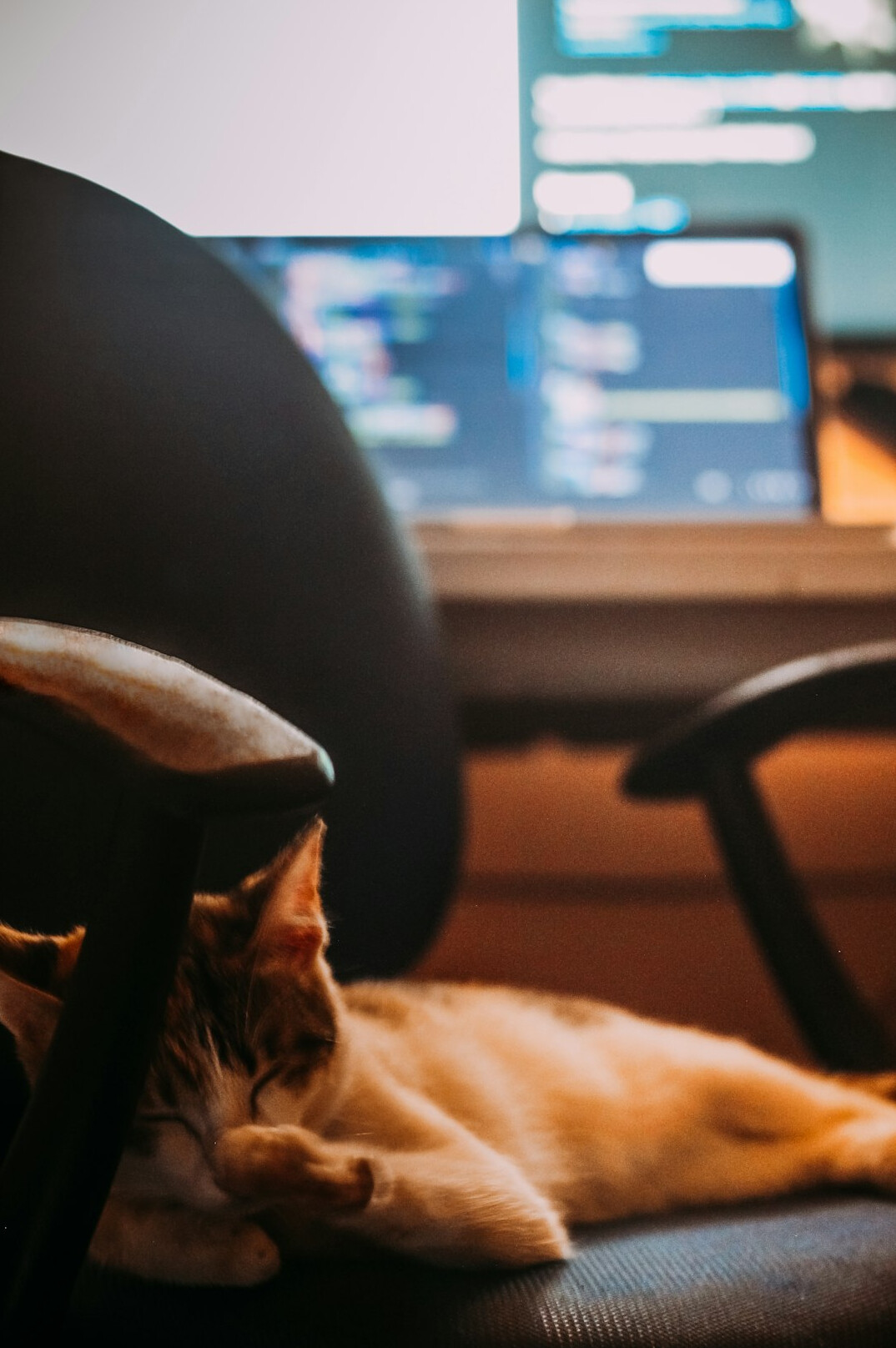 Malaysian software developer writing insurance policy code at a desk